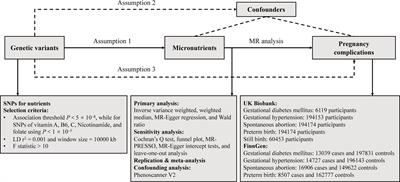 Association of circulating minerals and vitamins with pregnancy complications: a Mendelian randomization study